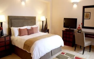 Executive Business (Suite)