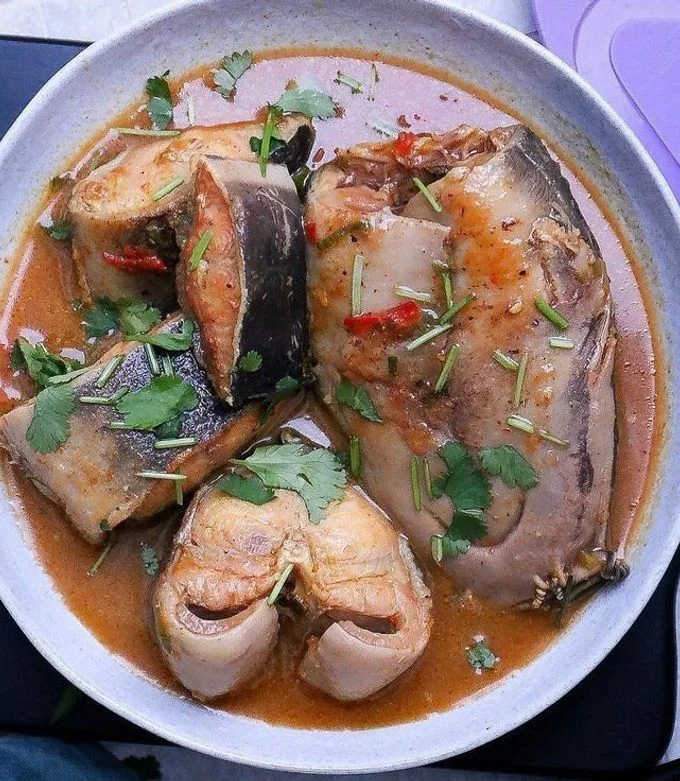 Cat Fish
